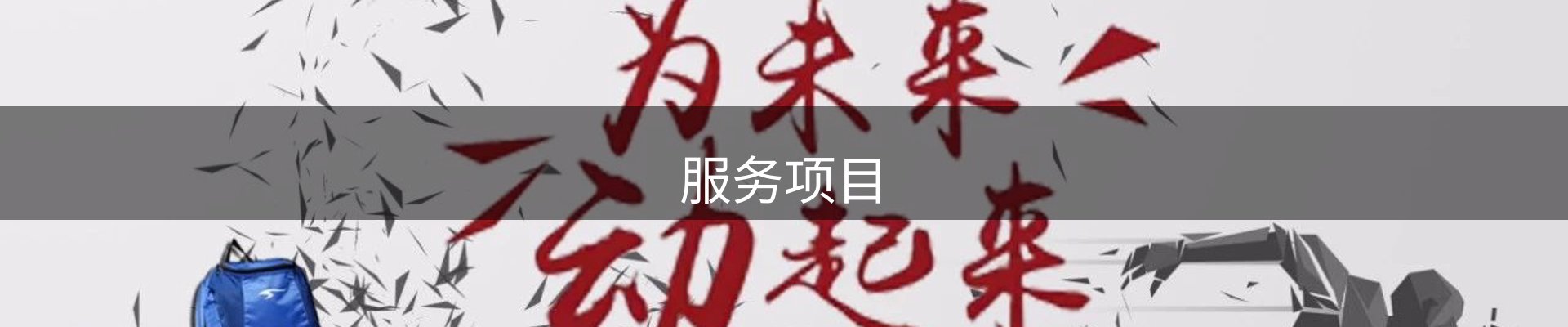 服务项目
