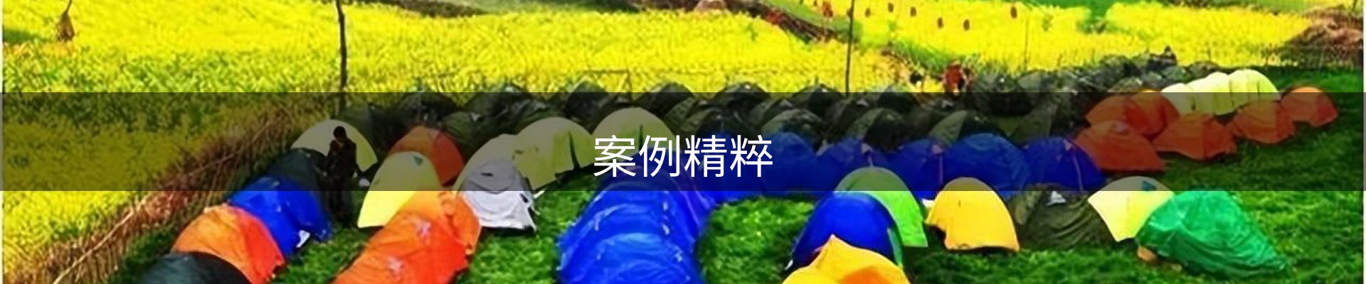 案例精粹